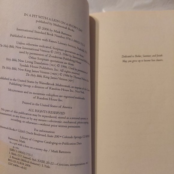 In a Pit with a Lion on a snowy day - Picture 3 of 5